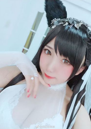 碧蓝航线cos 爱宕犬