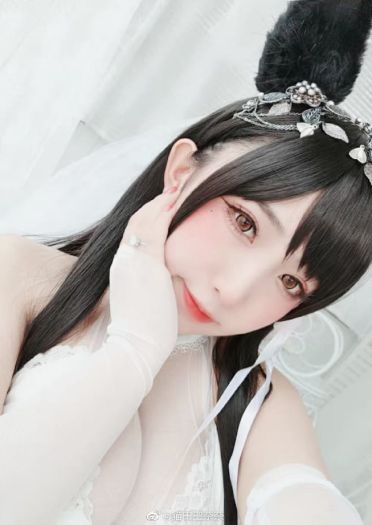 碧蓝航线cos 爱宕犬