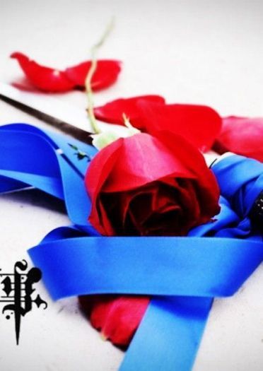 夏尔·凡多姆海恩 cos