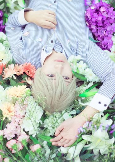 【授权COS】花のみぞ知る—只有花知晓