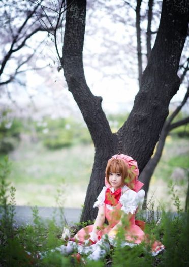 【COS】还原度超高超可爱的木之本樱