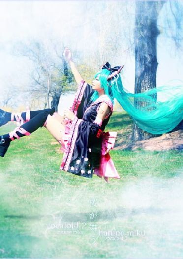 【COS】MIKU-樱花飞舞