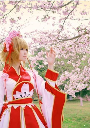 【COS】翼年代记-樱