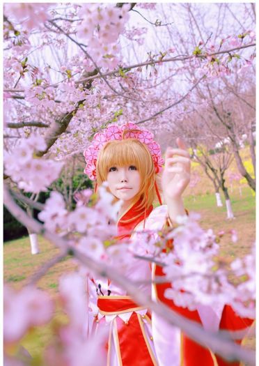 【COS】翼年代记-樱