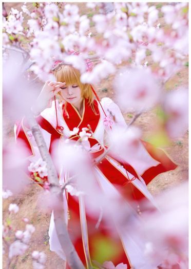 【COS】翼年代记-樱