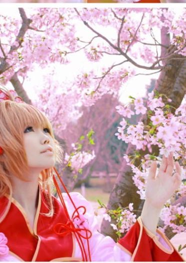 【COS】翼年代记-樱