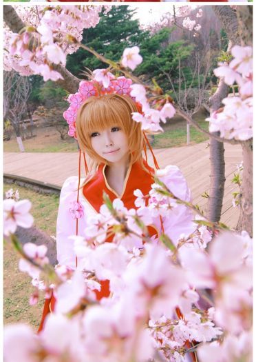 【COS】翼年代记-樱