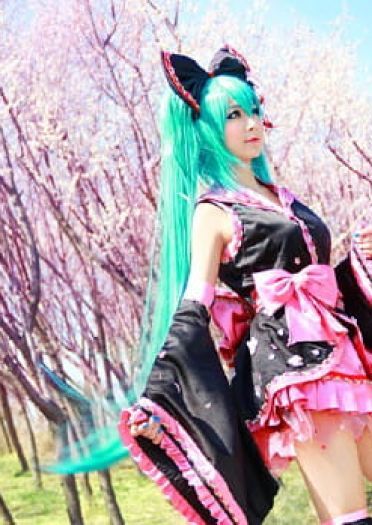 【COS】MIKU-樱花飞舞