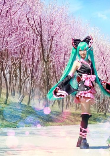 【COS】MIKU-樱花飞舞