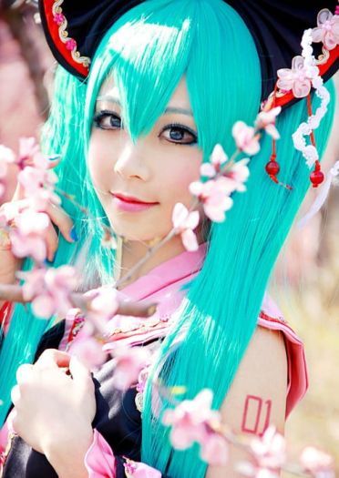 【COS】MIKU-樱花飞舞