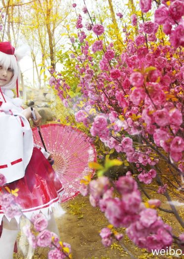 【COS】东方风神录=== 犬走椛