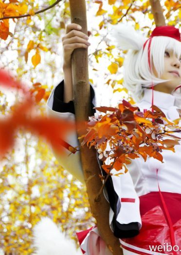 【COS】东方风神录=== 犬走椛