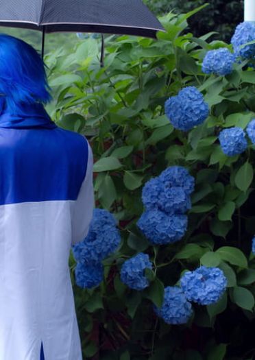 【COS】初音ミク 系列图------福利后方w