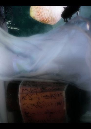 【授权cos】87电影版倩女幽魂