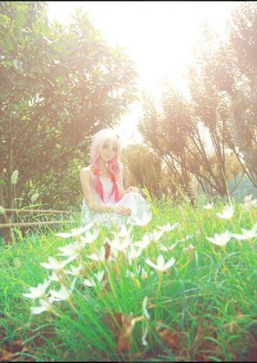 【授权cos】罪恶王冠 楪祈&真名