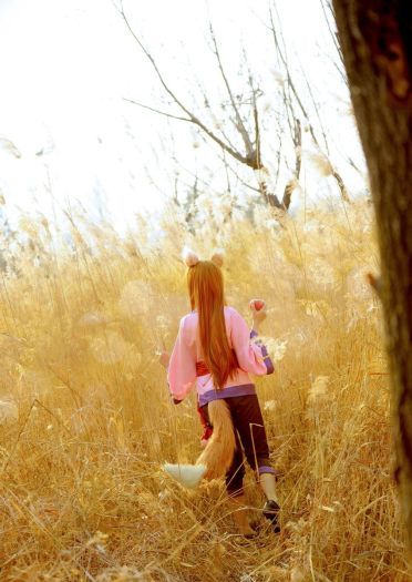 狼与香辛料 赫萝cos