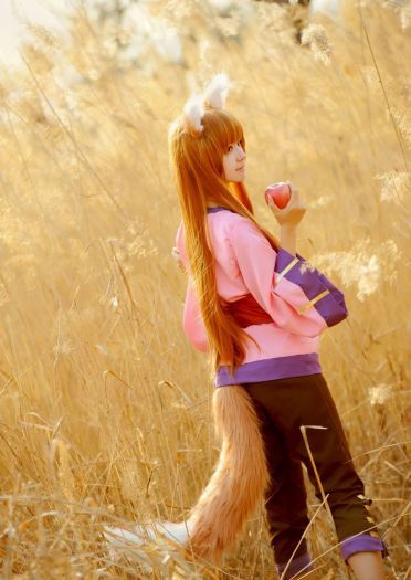 狼与香辛料 赫萝cos