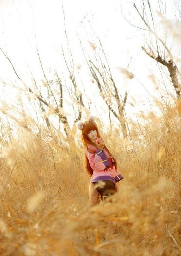 狼与香辛料 赫萝cos