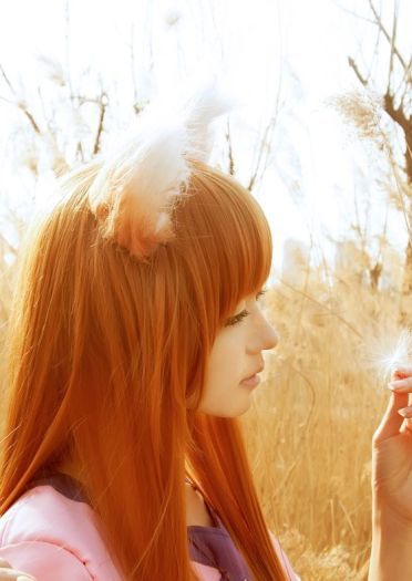 狼与香辛料 赫萝cos