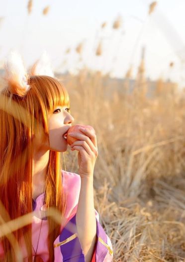 狼与香辛料 赫萝cos