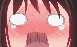 【QQ表情】野良神自截表情（49静55动）