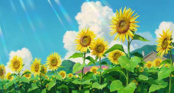 大师之作！宫崎骏所有作品里的美景第三期