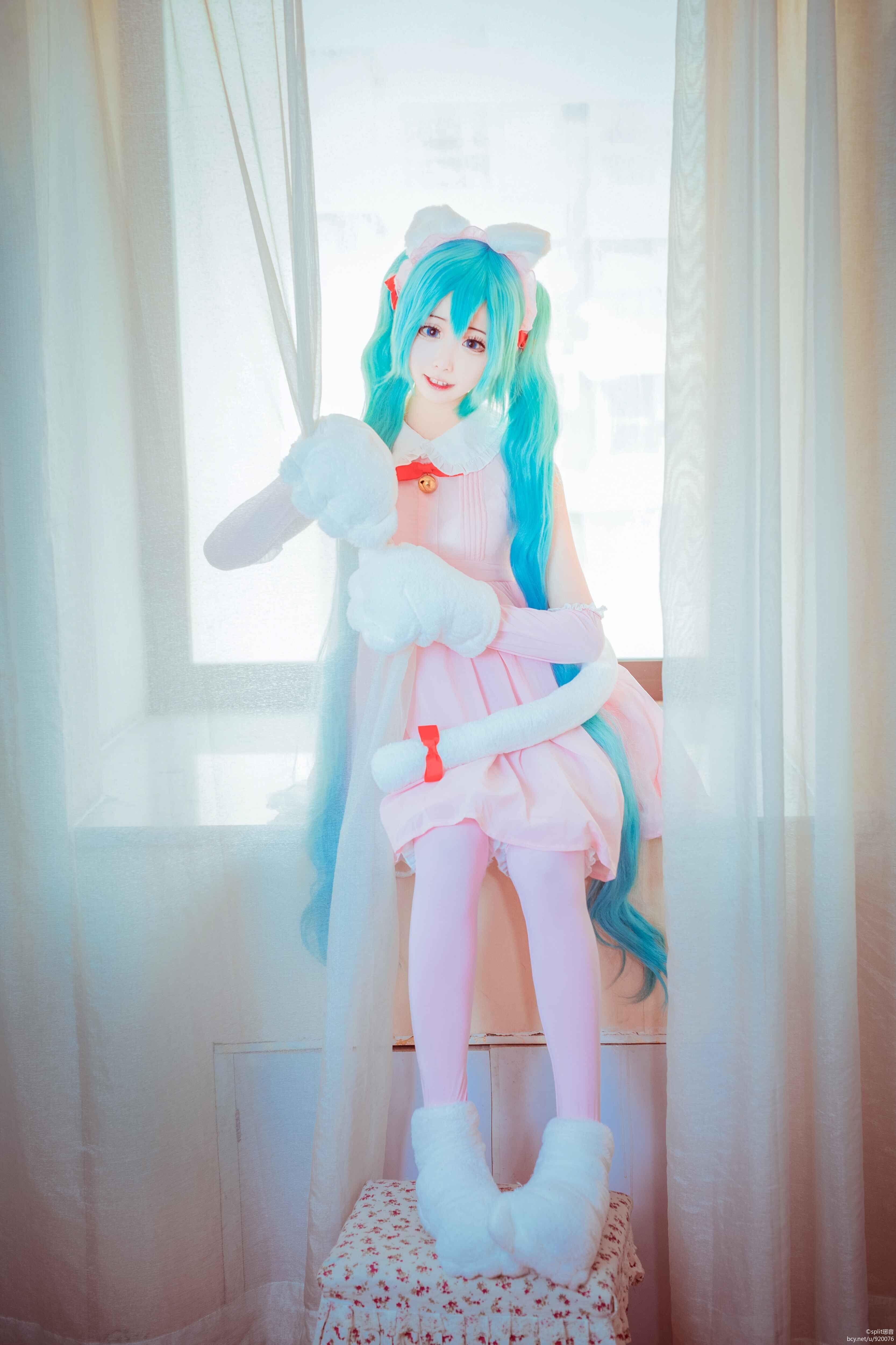 VOCALOID 粉红小猫咪miku