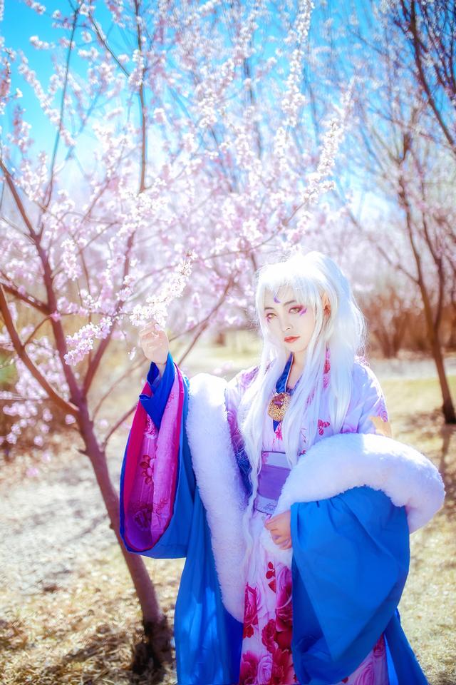 犬夜叉 凌月仙姬 cos正片