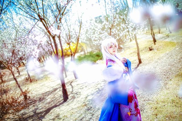 犬夜叉 凌月仙姬 cos正片