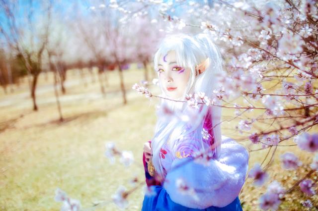 犬夜叉 凌月仙姬 cos正片