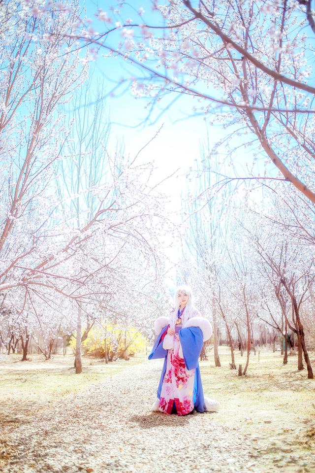 犬夜叉 凌月仙姬 cos正片