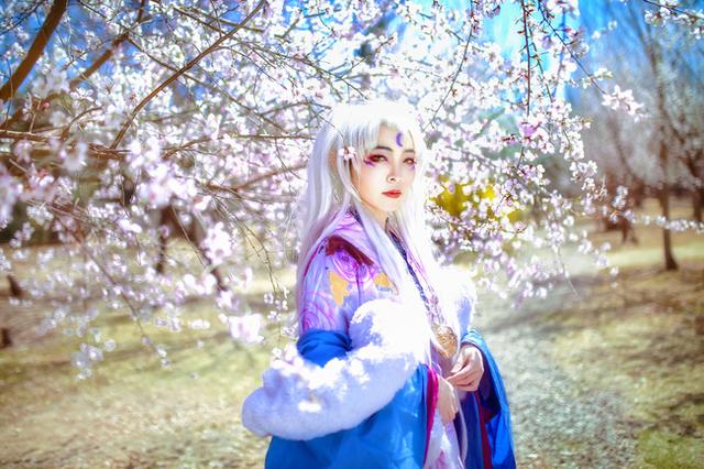 犬夜叉 凌月仙姬 cos正片