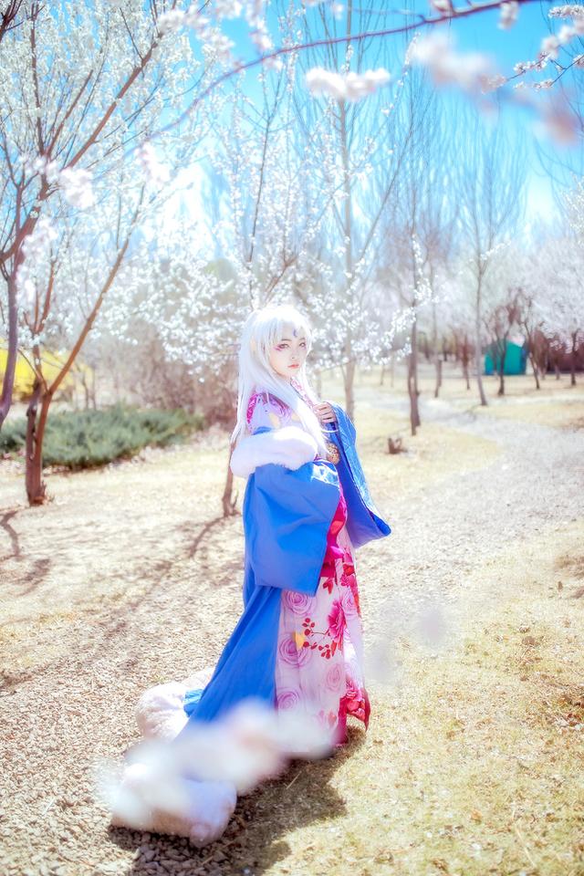 犬夜叉 凌月仙姬 cos正片