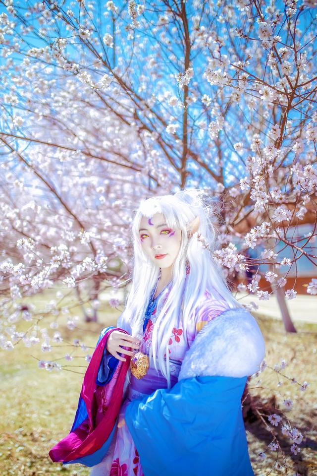 犬夜叉 凌月仙姬 cos正片