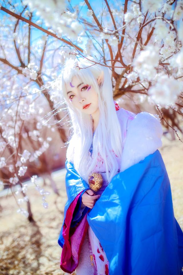 犬夜叉 凌月仙姬 cos正片