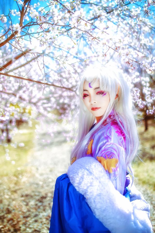 犬夜叉 凌月仙姬 cos正片