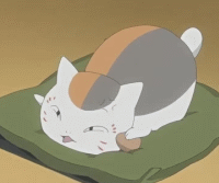 圆鼓鼓 肥嘟嘟 夏目友人帐猫咪老师GIF表情包