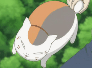 圆鼓鼓 肥嘟嘟 夏目友人帐猫咪老师GIF表情包