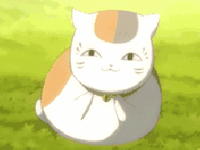 圆鼓鼓 肥嘟嘟 夏目友人帐猫咪老师GIF表情包