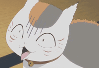 圆鼓鼓 肥嘟嘟 夏目友人帐猫咪老师GIF表情包