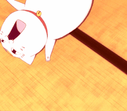 圆鼓鼓 肥嘟嘟 夏目友人帐猫咪老师GIF表情包