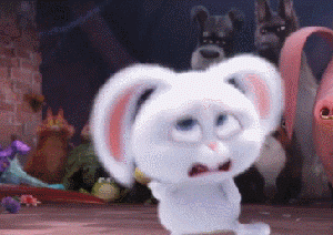 爱宠大机密 贱萌小白兔 GIF表情包