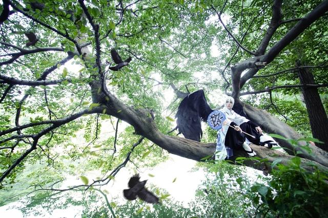 别丢下我，黑晴明大人 阴阳师手游大天狗cos