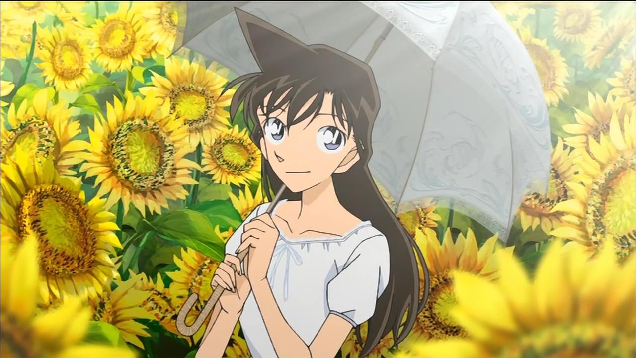 名侦探柯南高清电脑壁纸下载(1)