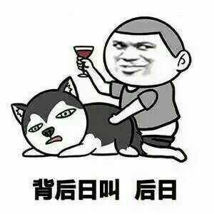 QQ斗图趣味表情包 “日”的正解