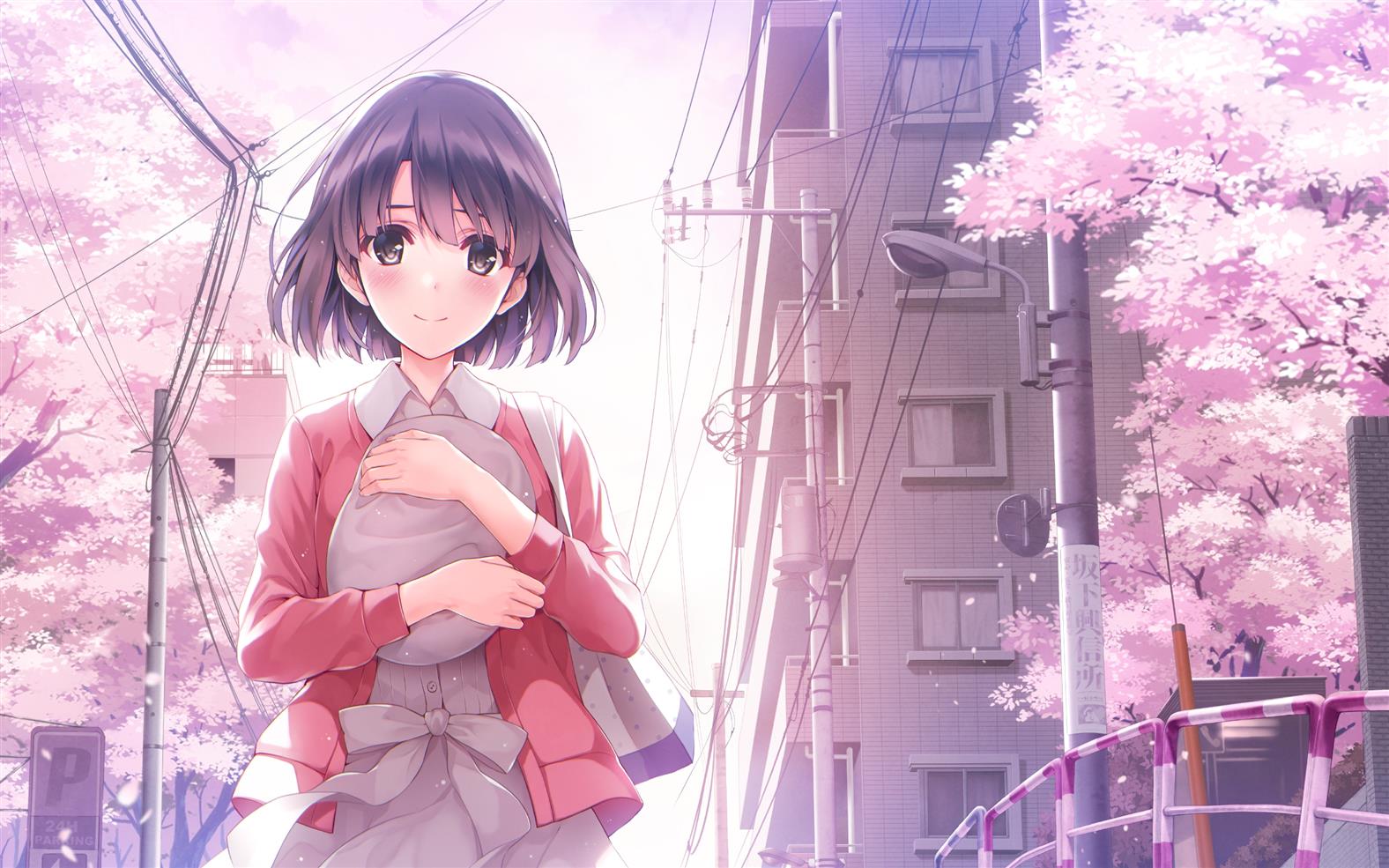 路人女主的养成方法 高清电脑桌面壁纸