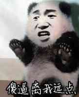 网上很火的熊猫表情包下载