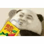 网上很火的熊猫表情包下载