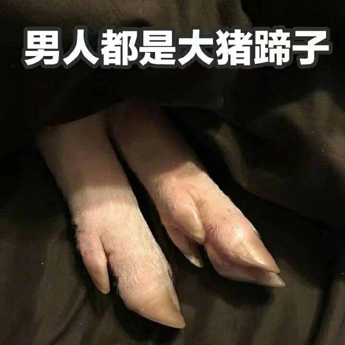 心肥意冷 可爱小猪猪表情包