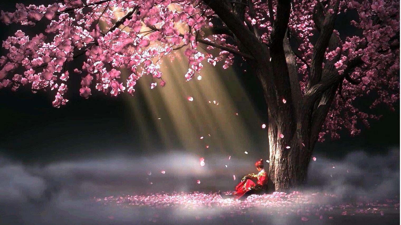 少年锦衣卫萌化手机主题